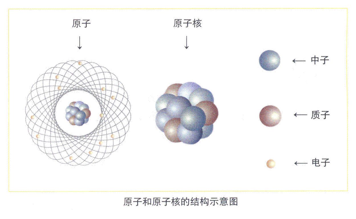 中子的样子图片