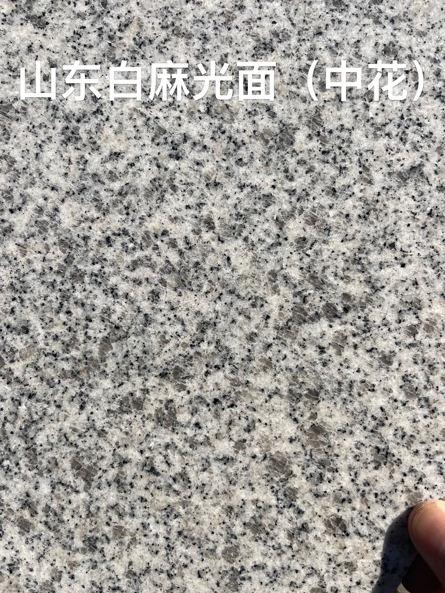 山东白麻(芝麻白)石材加工原产地