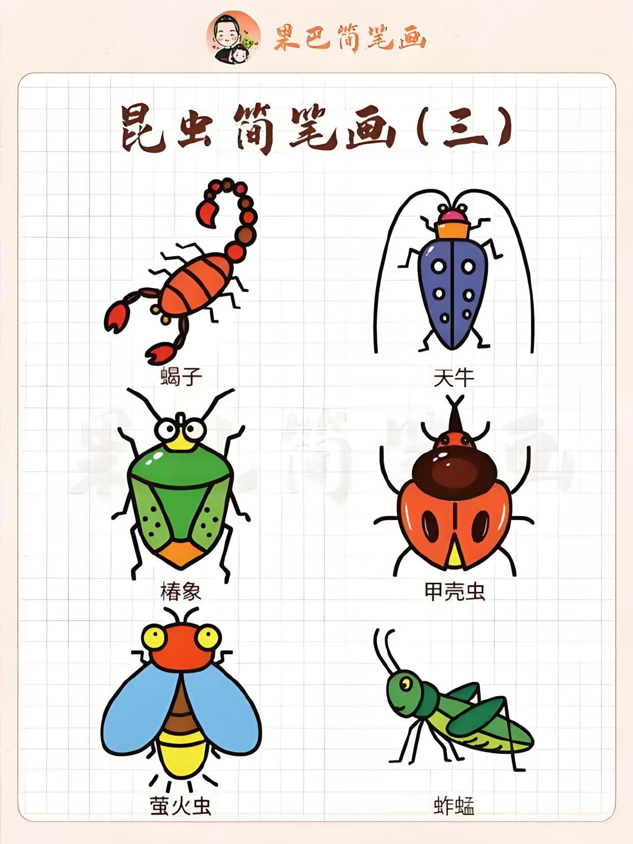 昆虫怎么画简单又好看