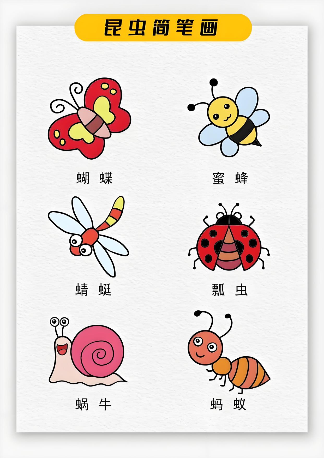 昆虫怎么画简单又好看