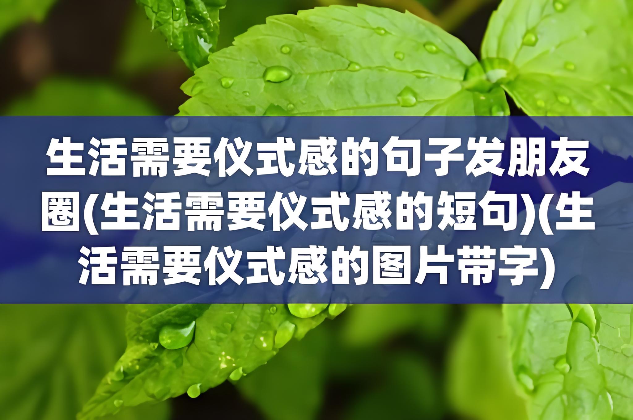 仪式感是什么意思