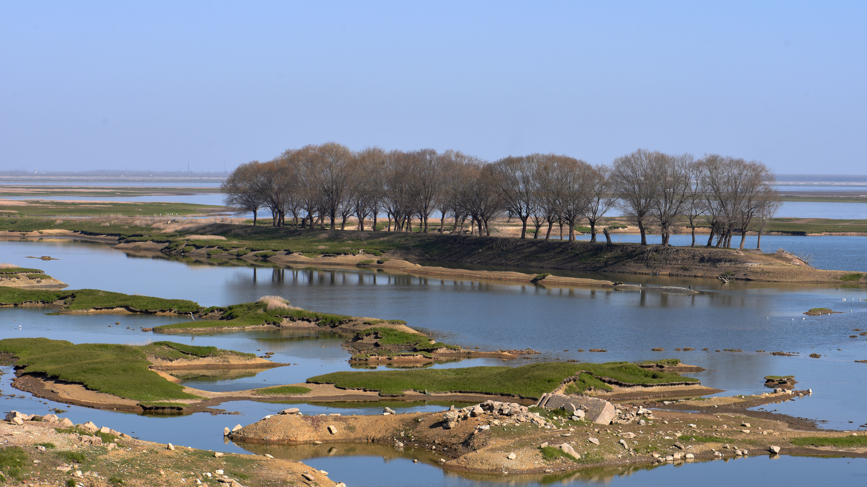 洞林湖湿地公园图片