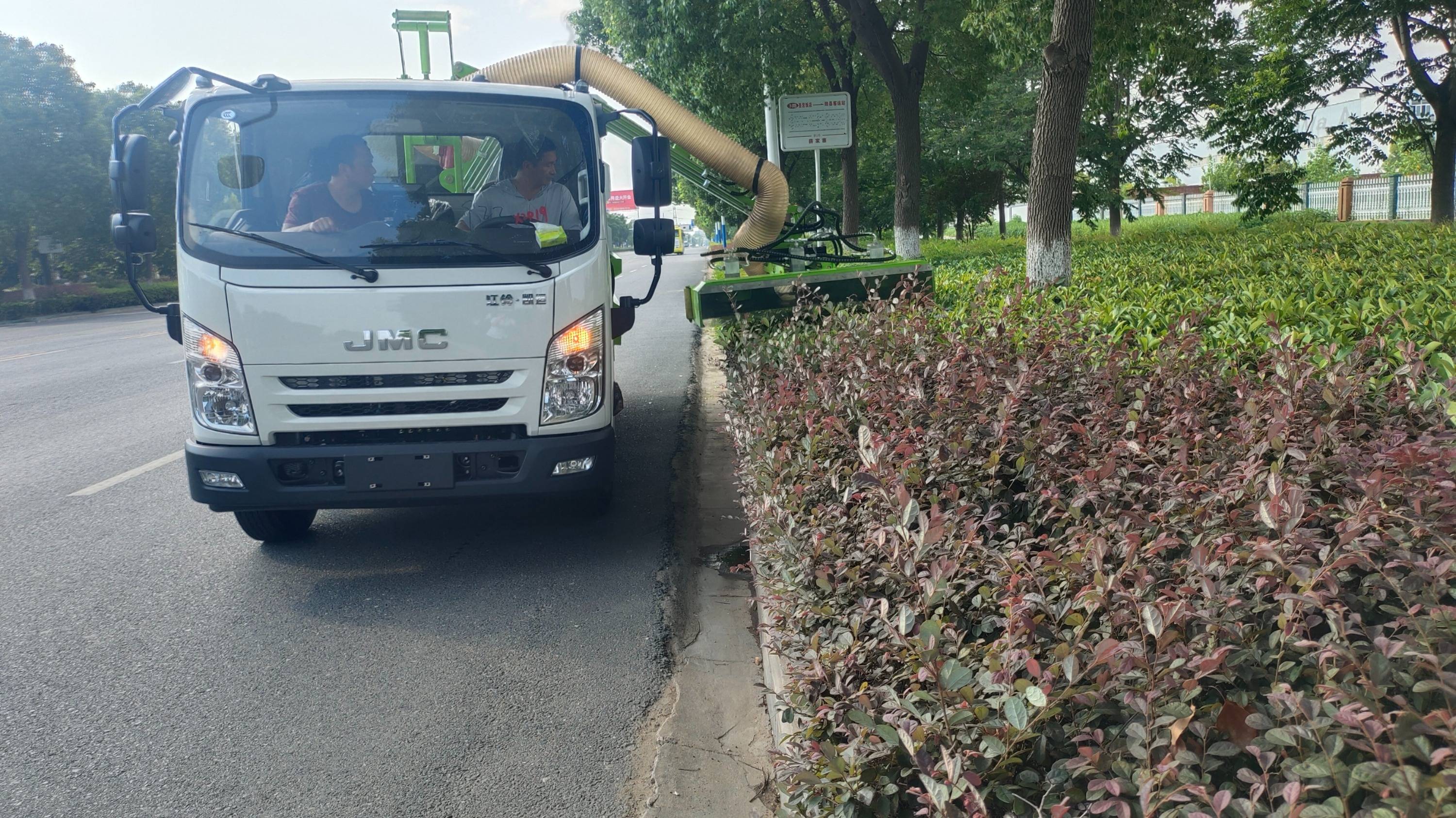 绿化修剪标准图