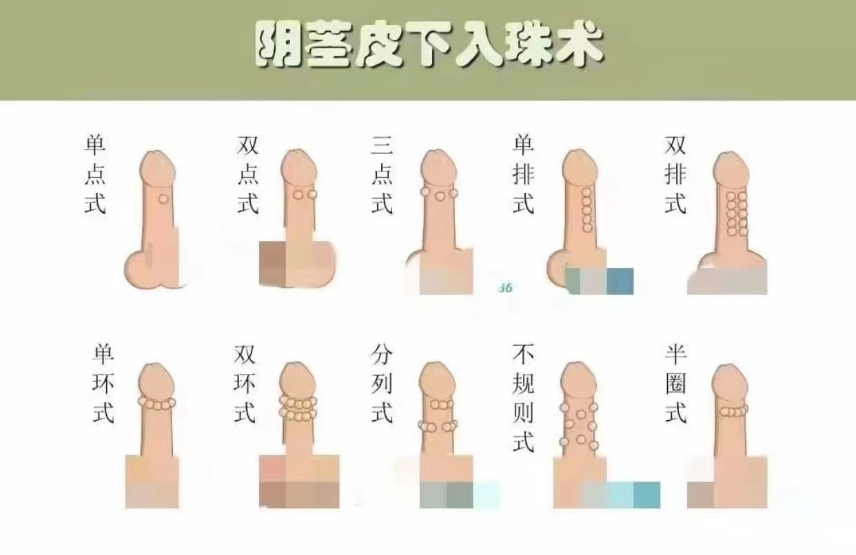 入龙珠：走进数字化世界的奇妙之旅