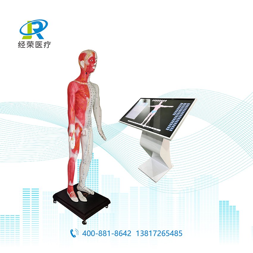 3D人体解剖系统-86型