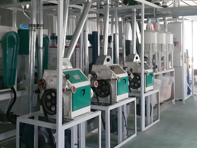 新款全套小麦面粉机有什么性能优势呢