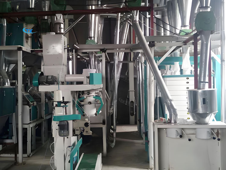 新款全套小麦面粉机有什么性能优势呢