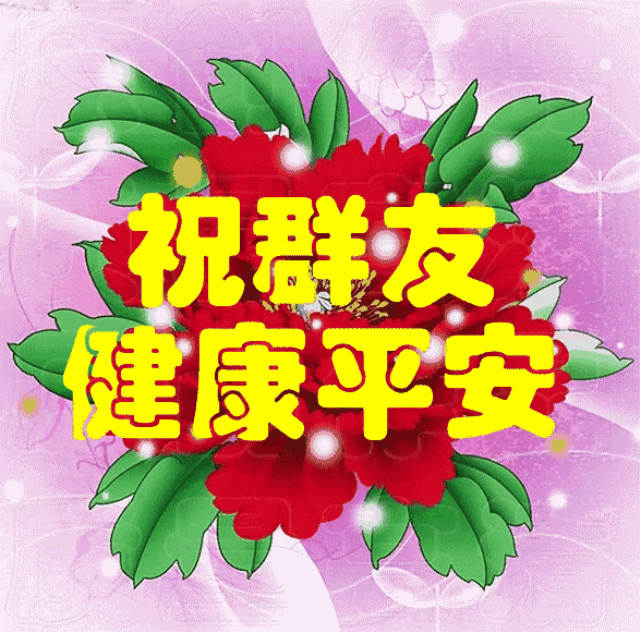 588_581gif 动态图 动图