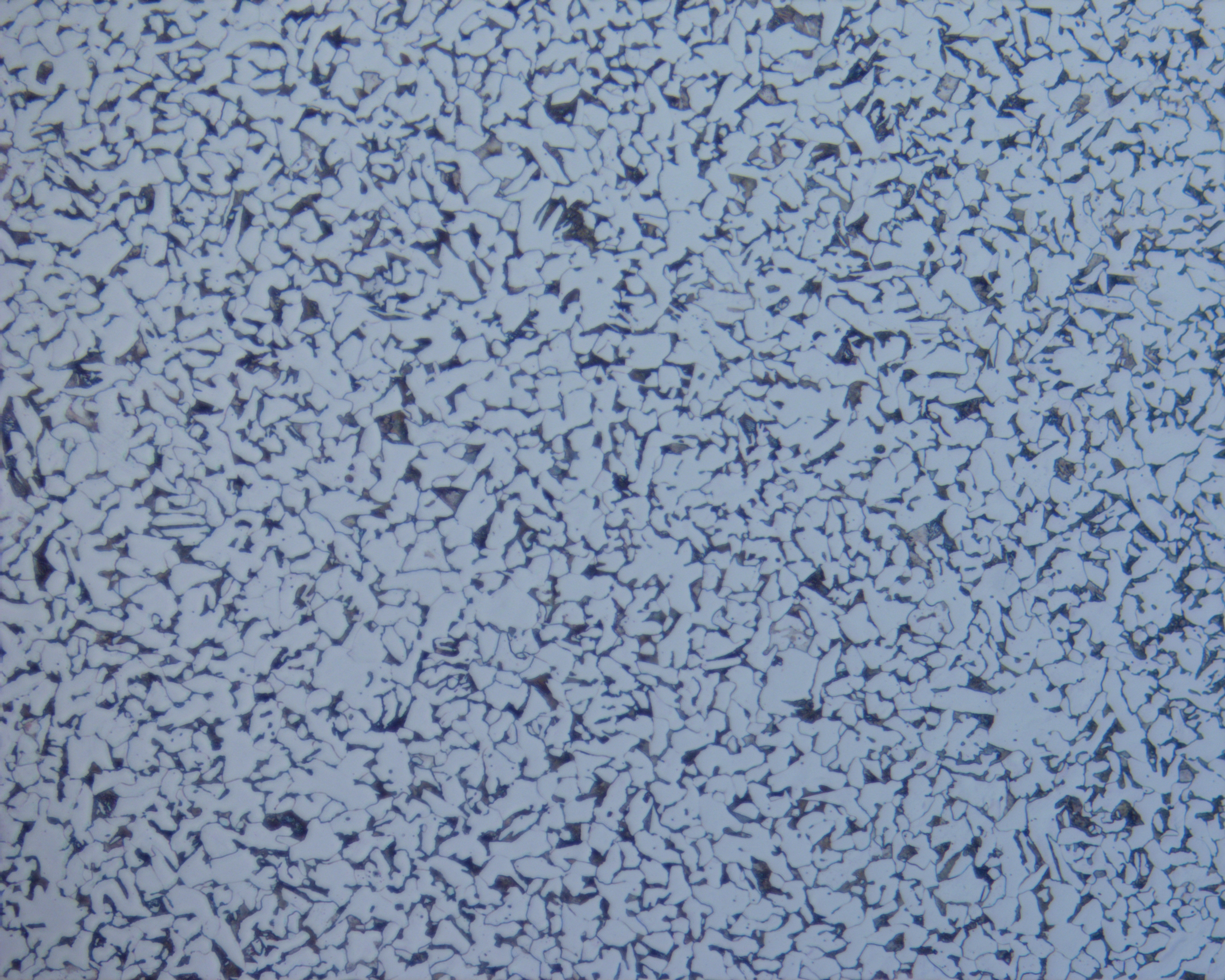 20钢金相组织与图片分享