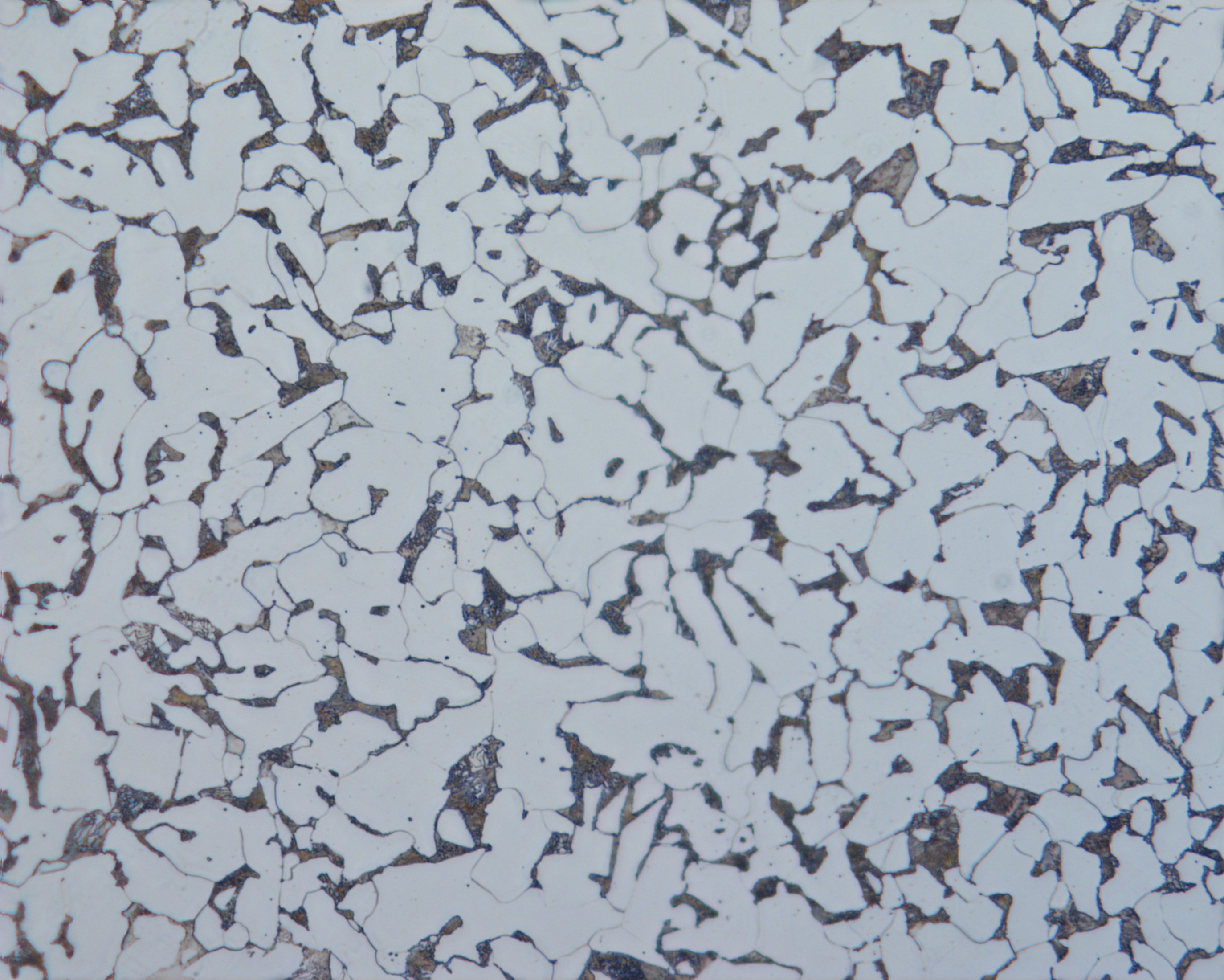 20钢金相组织与图片分享