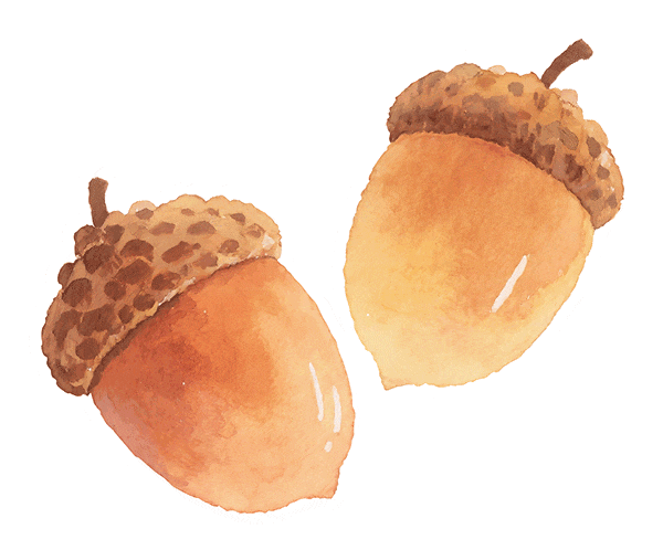 秋冬开车防打滑口诀曝光:刹车、油门这么用才是真正稳妥安全!-有驾 秋冬开车防打滑口诀曝光:刹车、油门这么用才是真正稳妥安全!-有驾