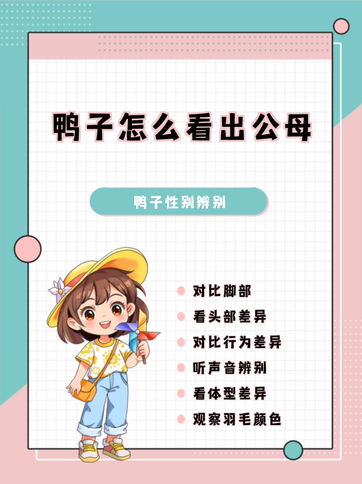鸭子怎么看出公母