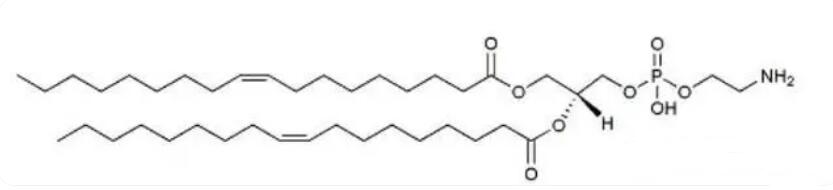 4004-05-1,dope是一种磷脂分子,具有良好的亲水性和亲油性