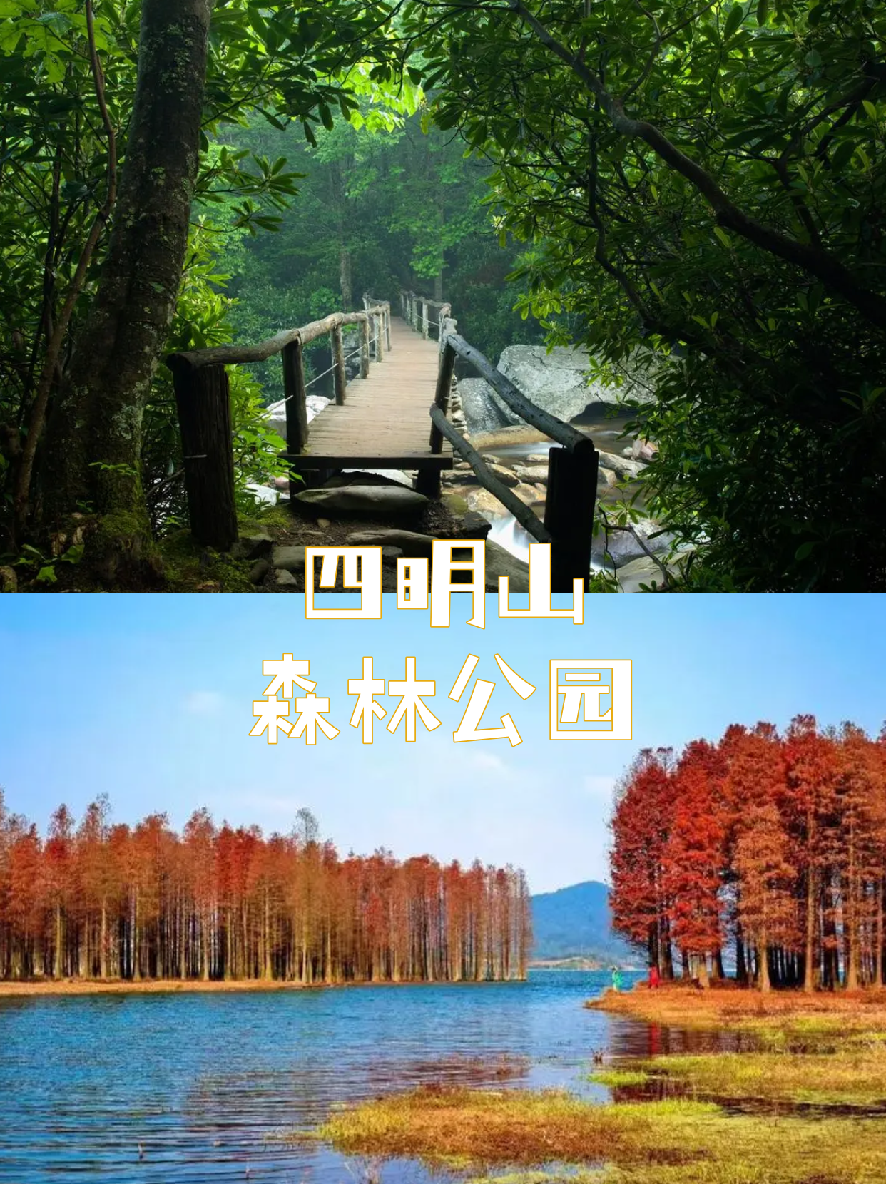 宁波|避暑团建胜地 四明山攻略不容错过