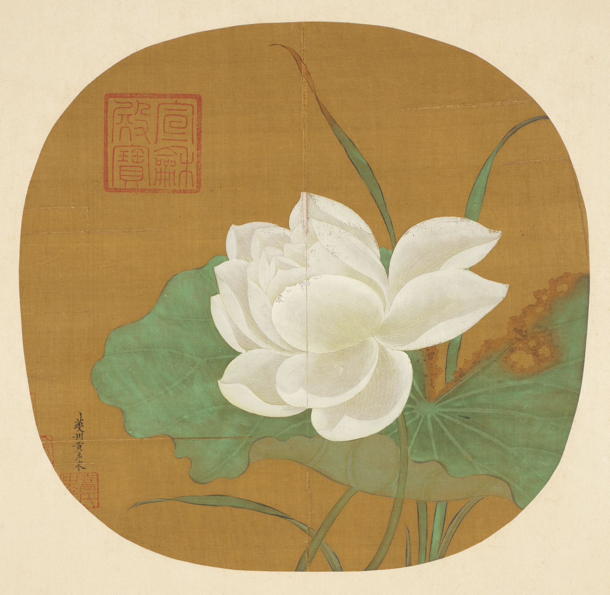 莲荷画谱:160幅作品展现历代中国画名家笔下的荷花风采