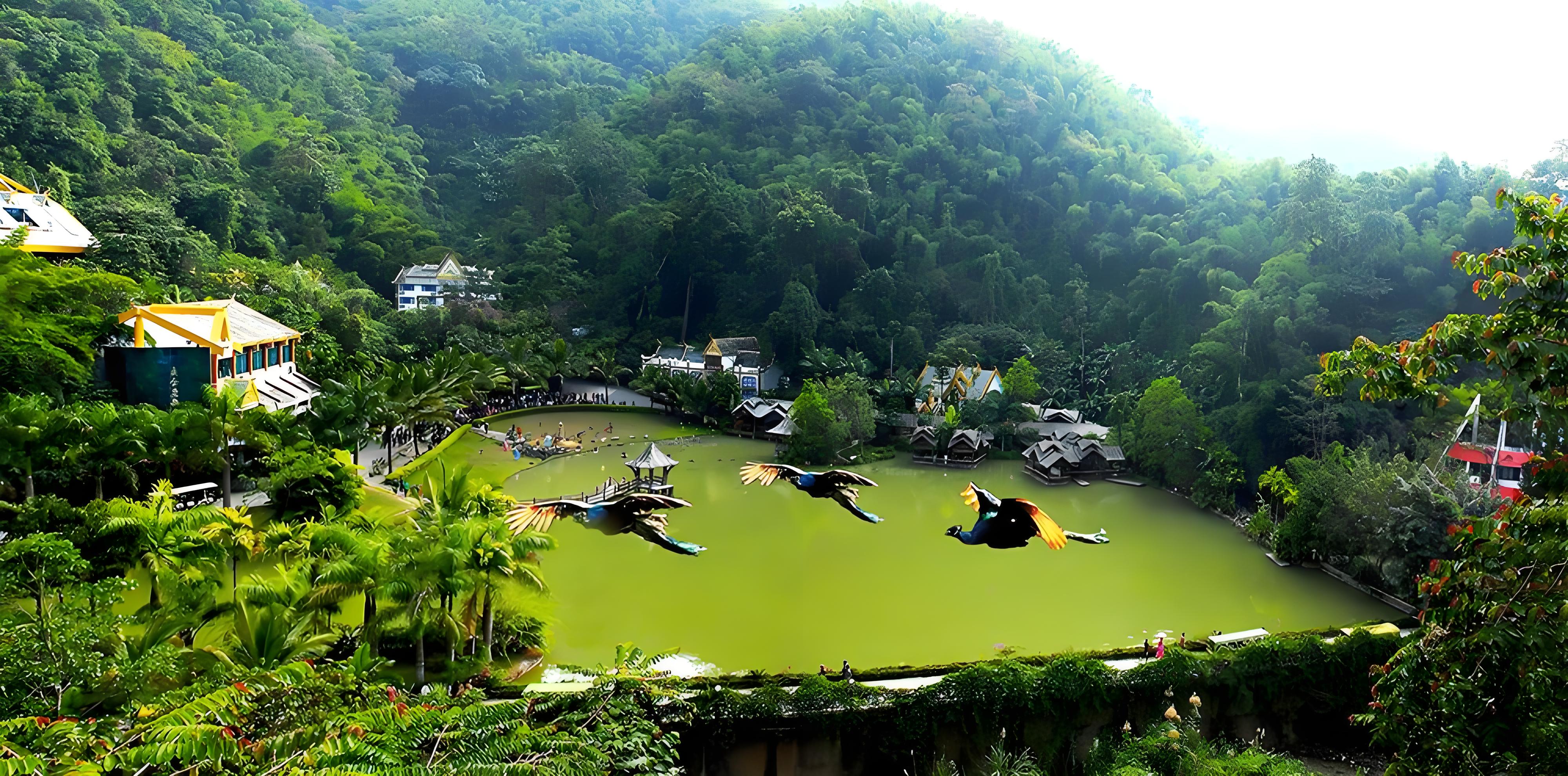 野象谷风景图片