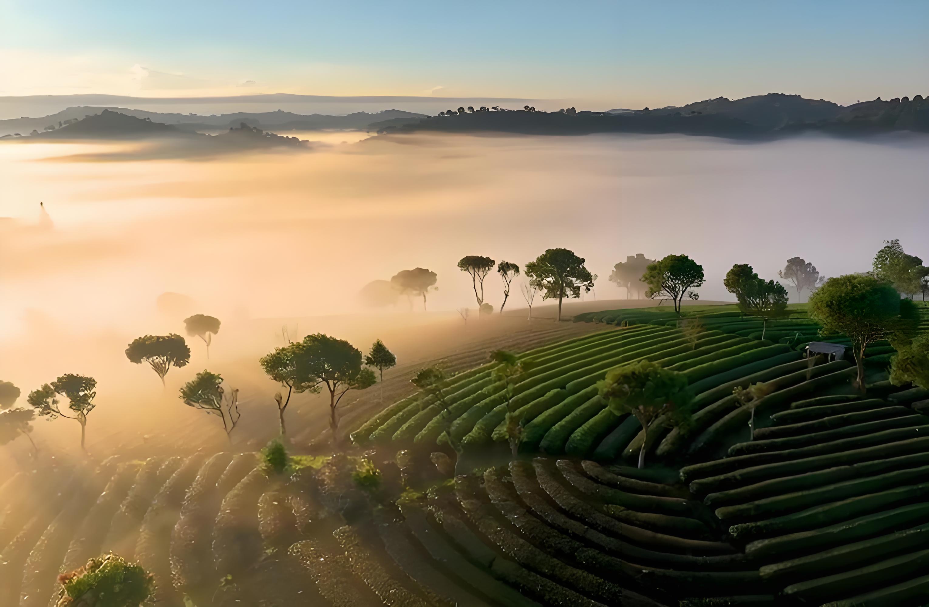 云南普洱市简介?