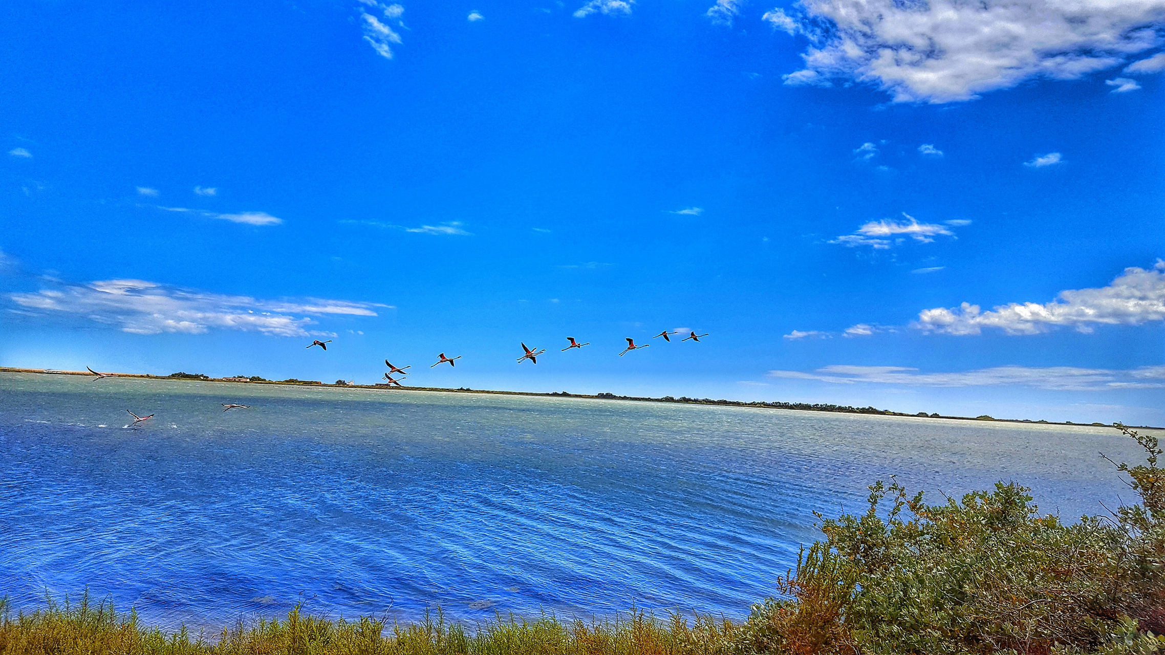 内蒙古呼伦湖:从生态危机到生态恢复,见证人与自然和谐之路