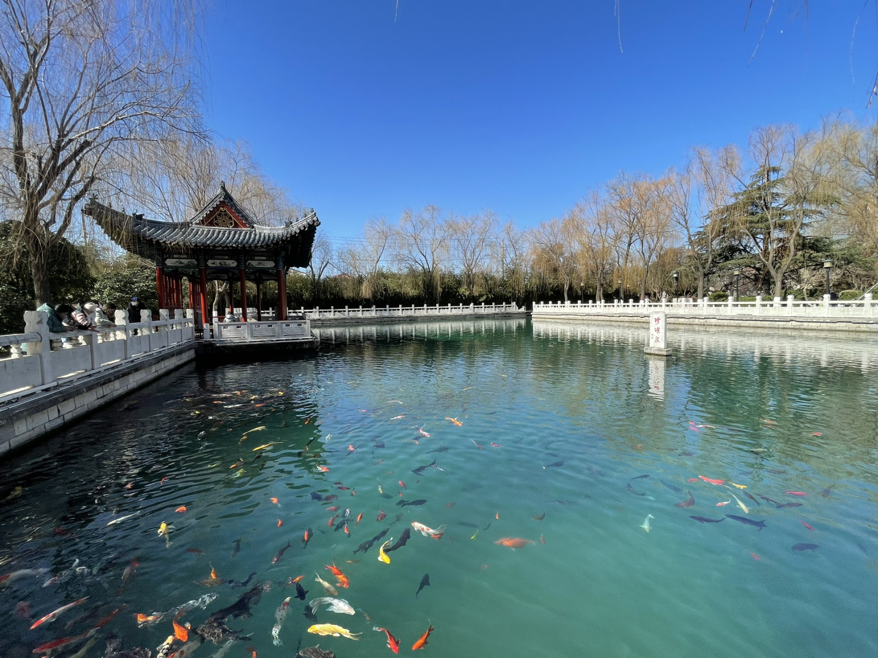 济南珍珠泉:赏泉水灵动,品历史厚重,不可错过的旅游胜地