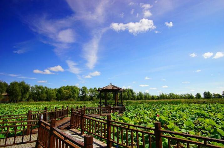 双鸭山旅游指南:七大景点带你领略自然风光与民族文化
