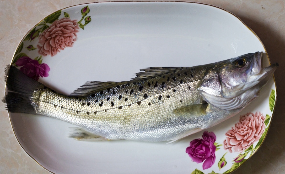 烤鱼的完美选择:八种鱼类的肉质与烤制效果分析