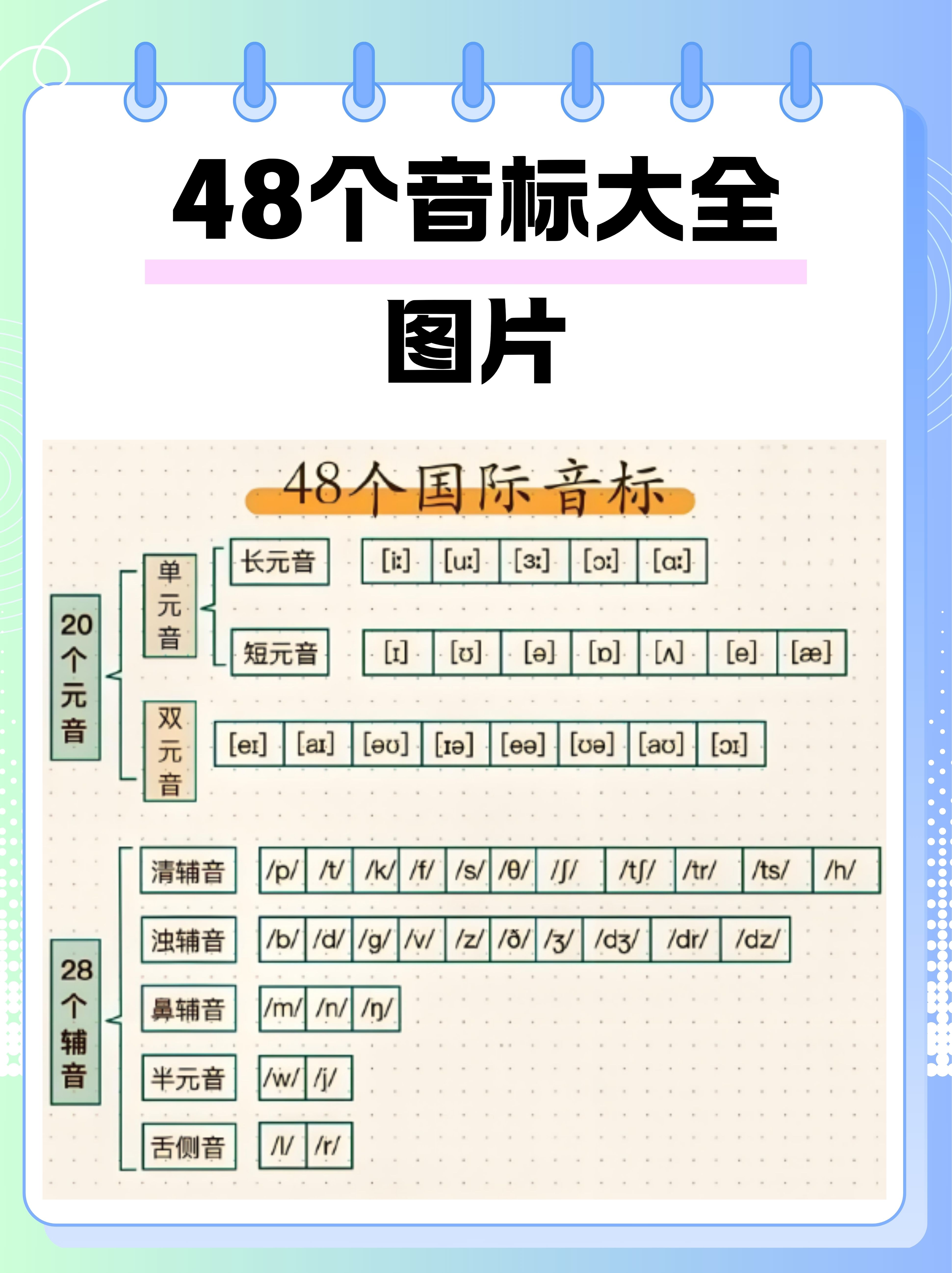 英语国际音标体系中共包含48个音标,这些音标能够准确地表示世界上大