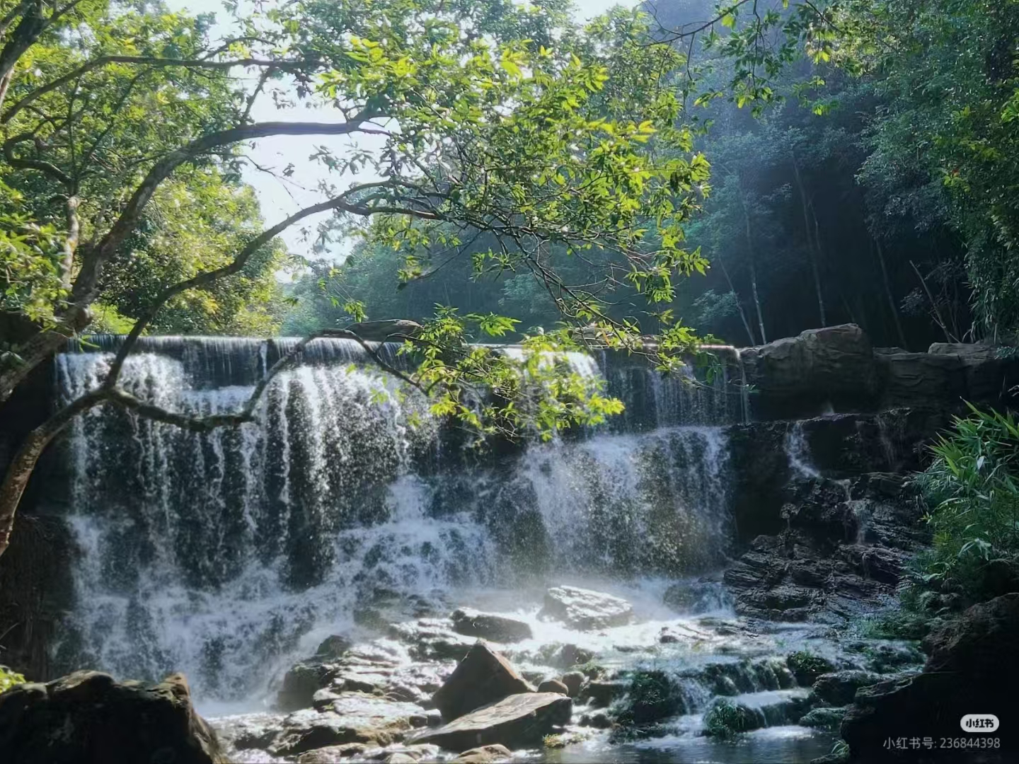 钦州十万大山图片