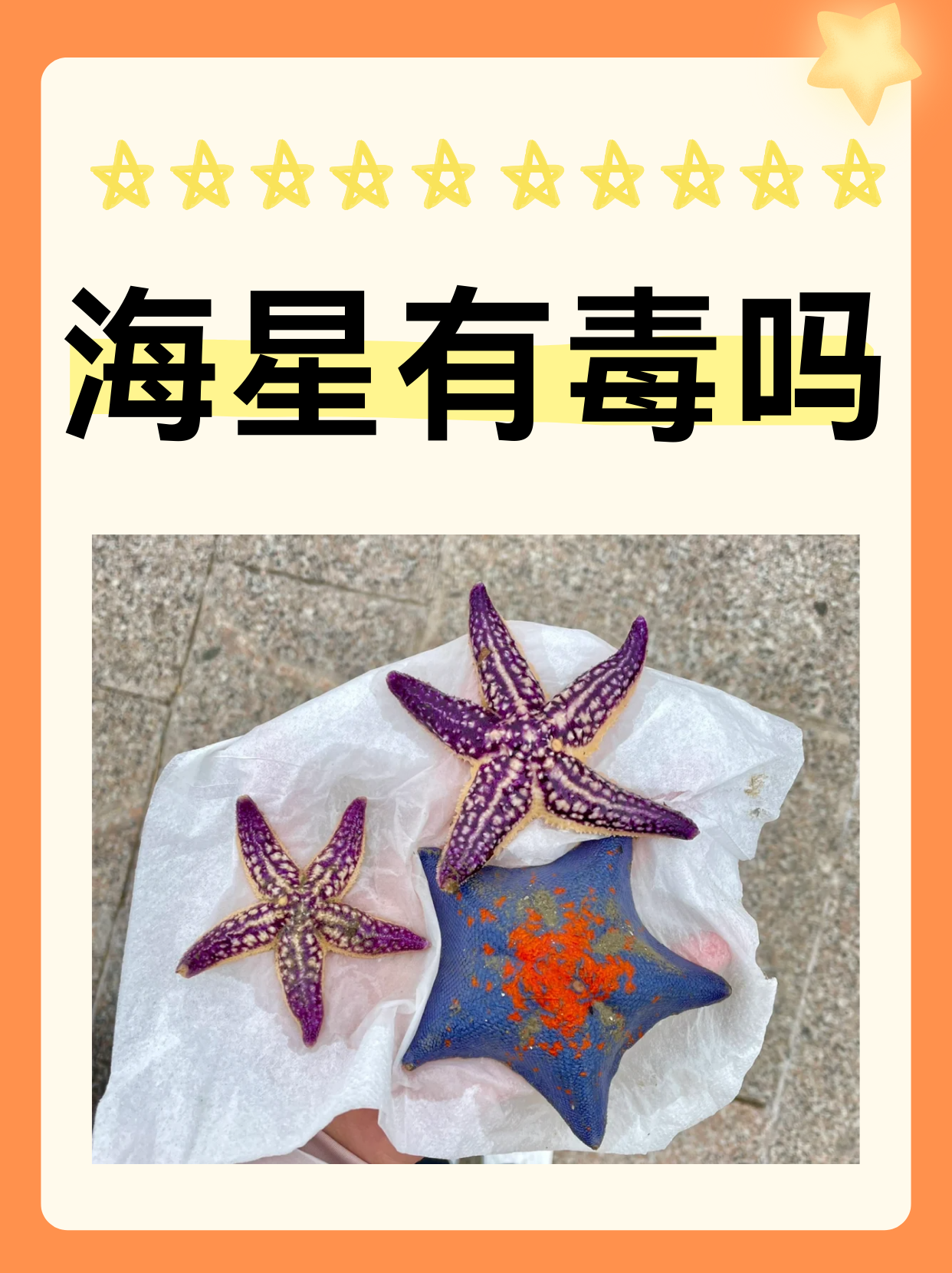 海星有毒吗