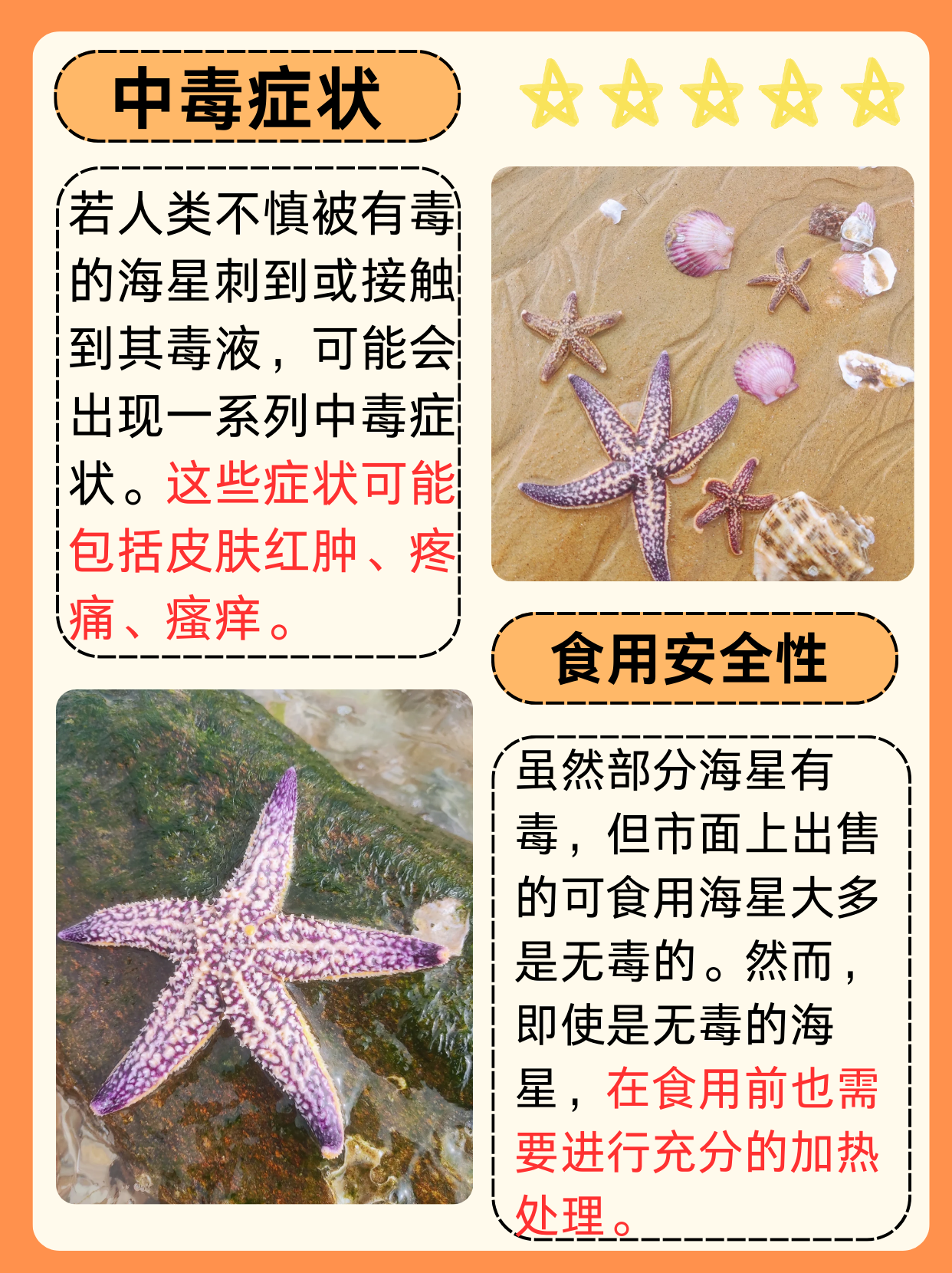 海星有毒吗