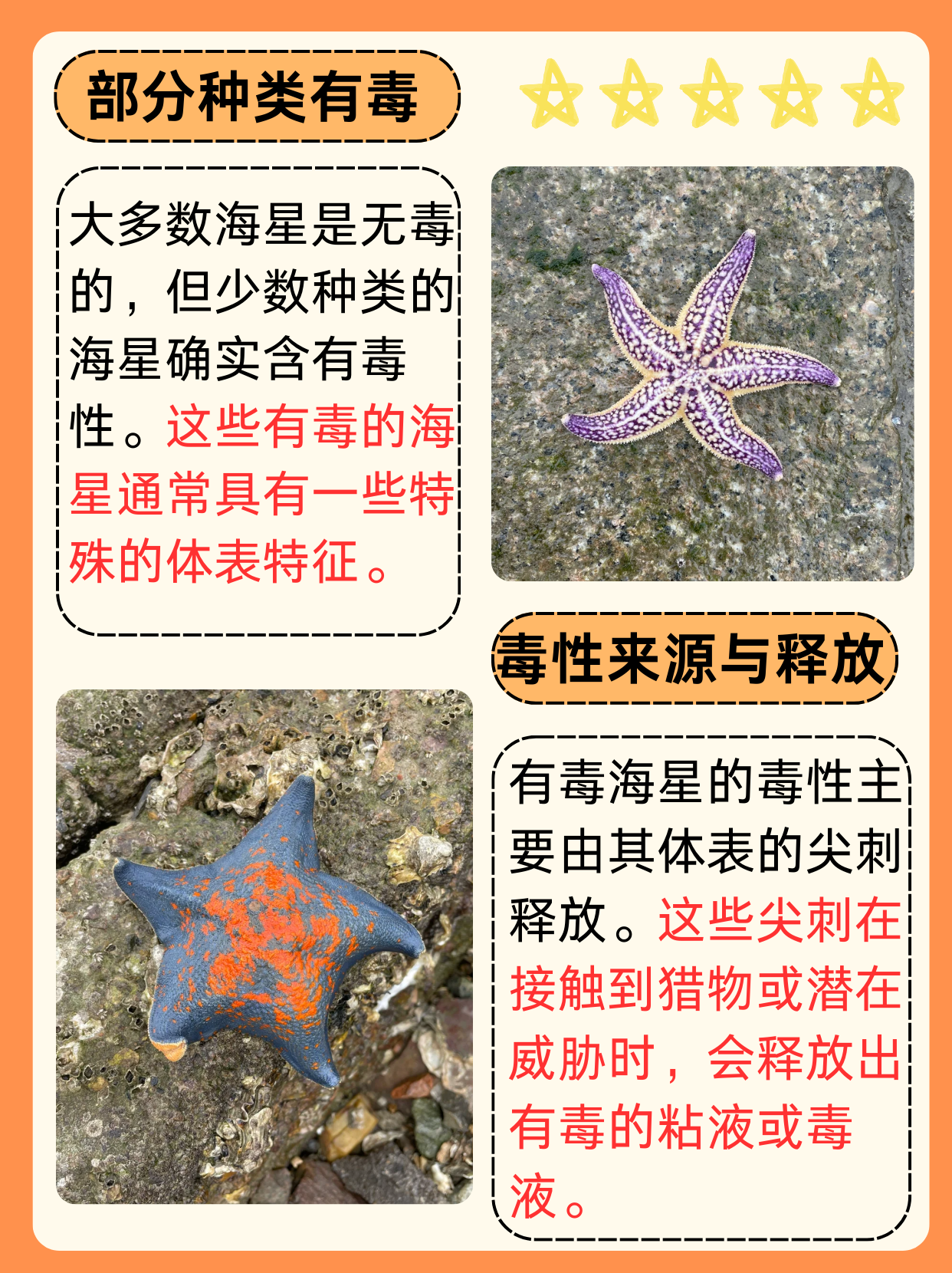海星有毒吗
