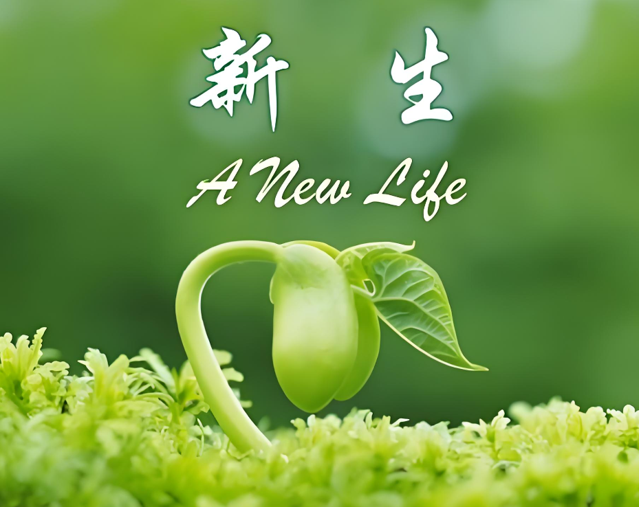 哈尔滨福仁职业技能培训学校:按摩培训让我开启新生活