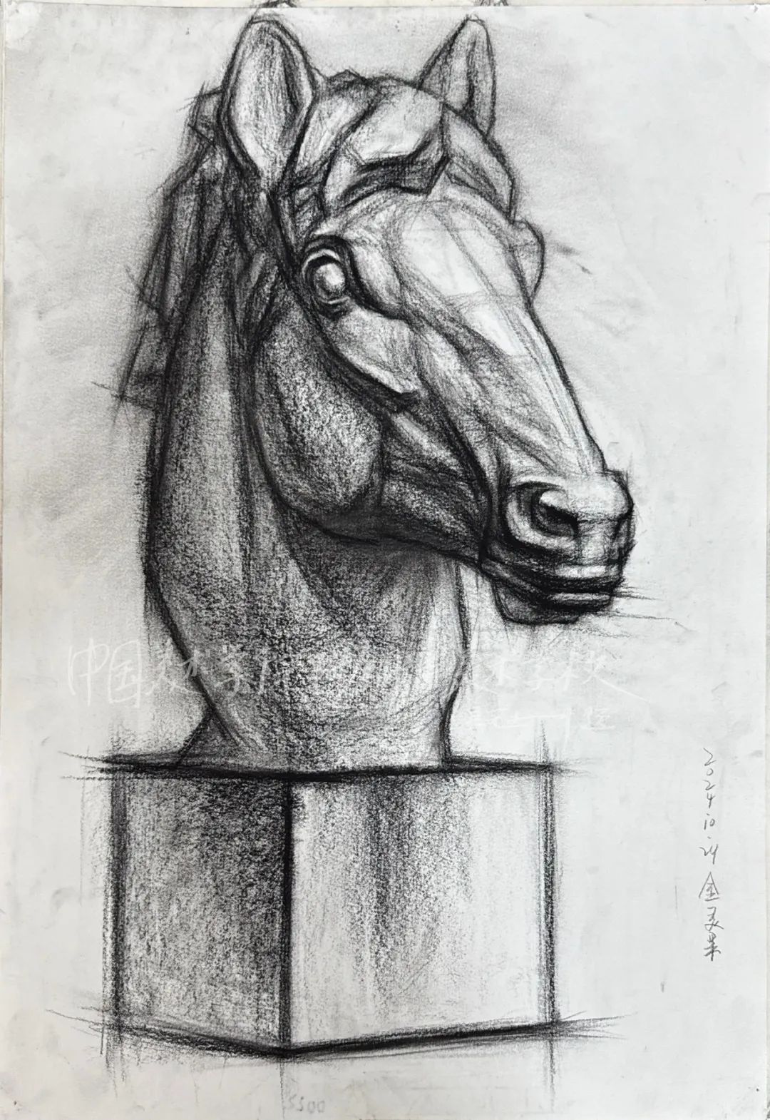 太优秀!国美附中高一学生的最新素描作品