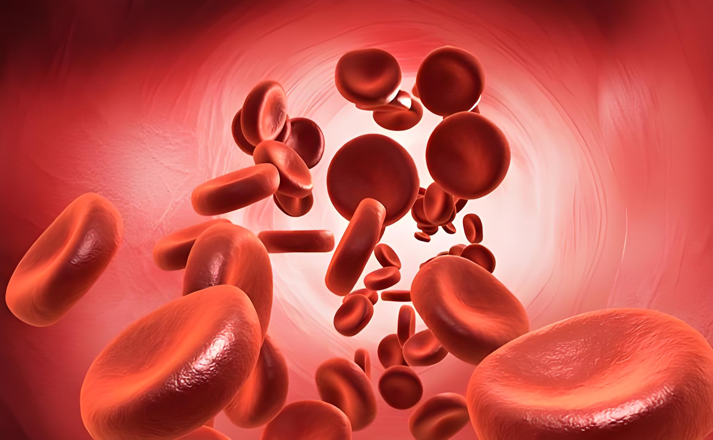 红细胞表面的抗原有什么作用?