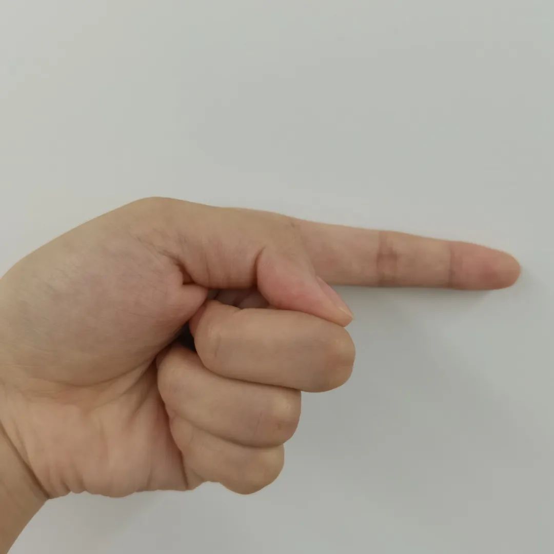 奥运会乒乓球比赛你真的看懂了吗?这些手势暗号你注意到了吗?