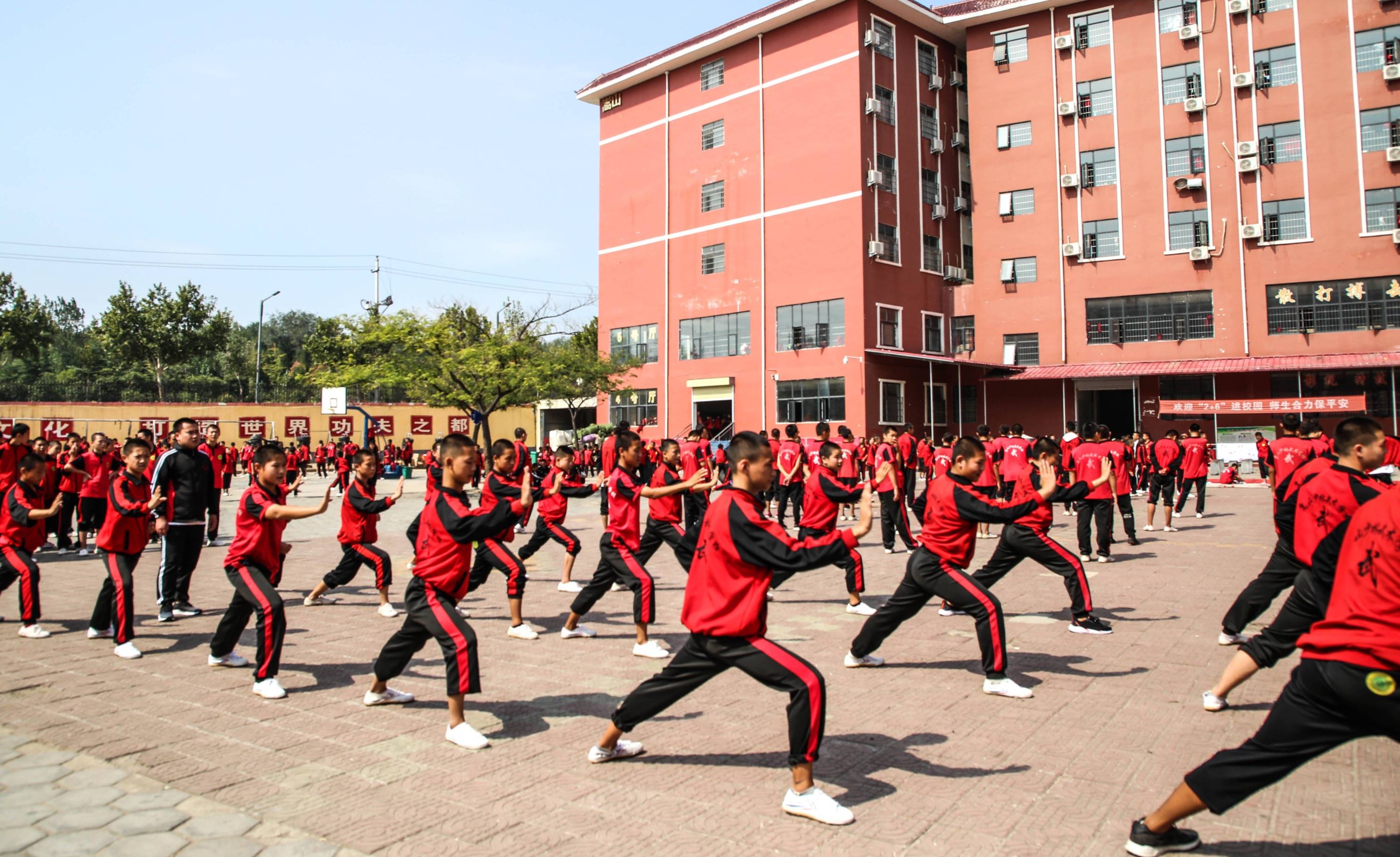 梦想启航,从这里开始:嵩山少林武术学校的魅力