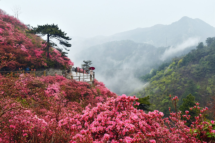 益阳云雾山图片