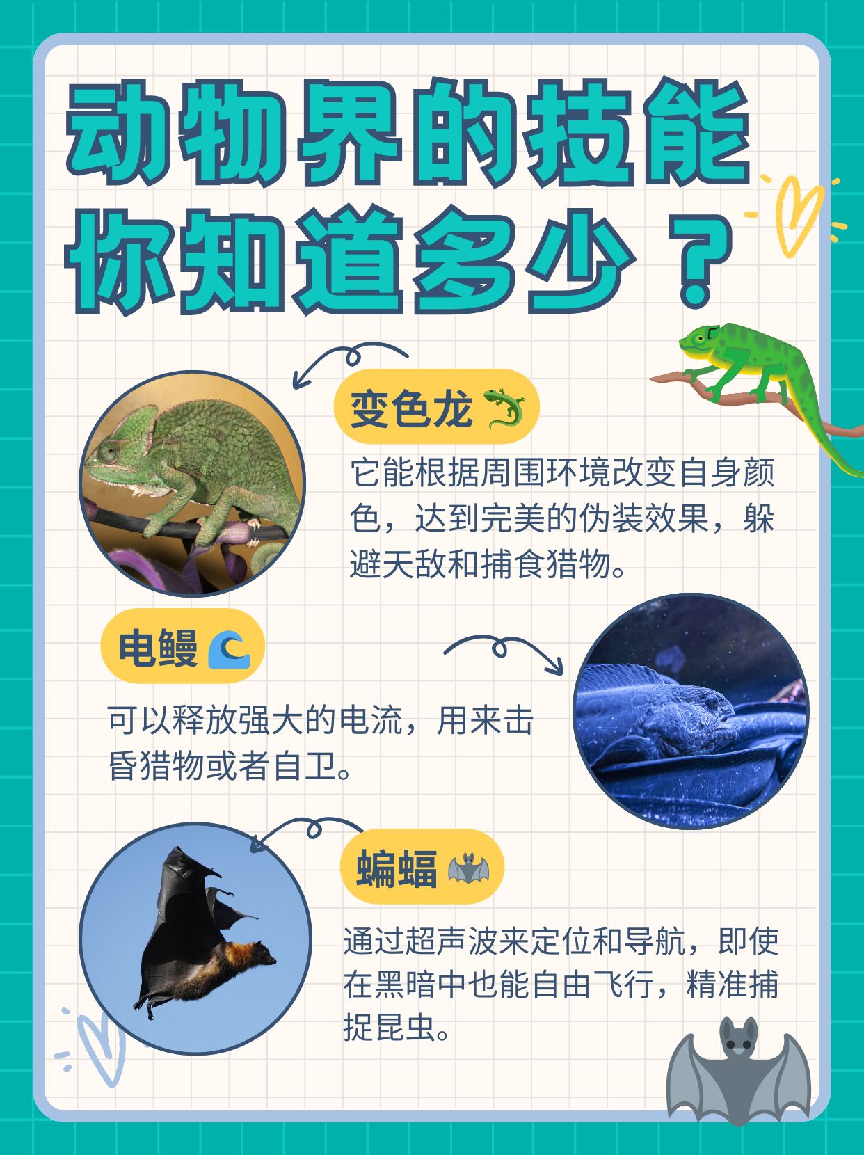 神奇动物的特殊本领大揭秘