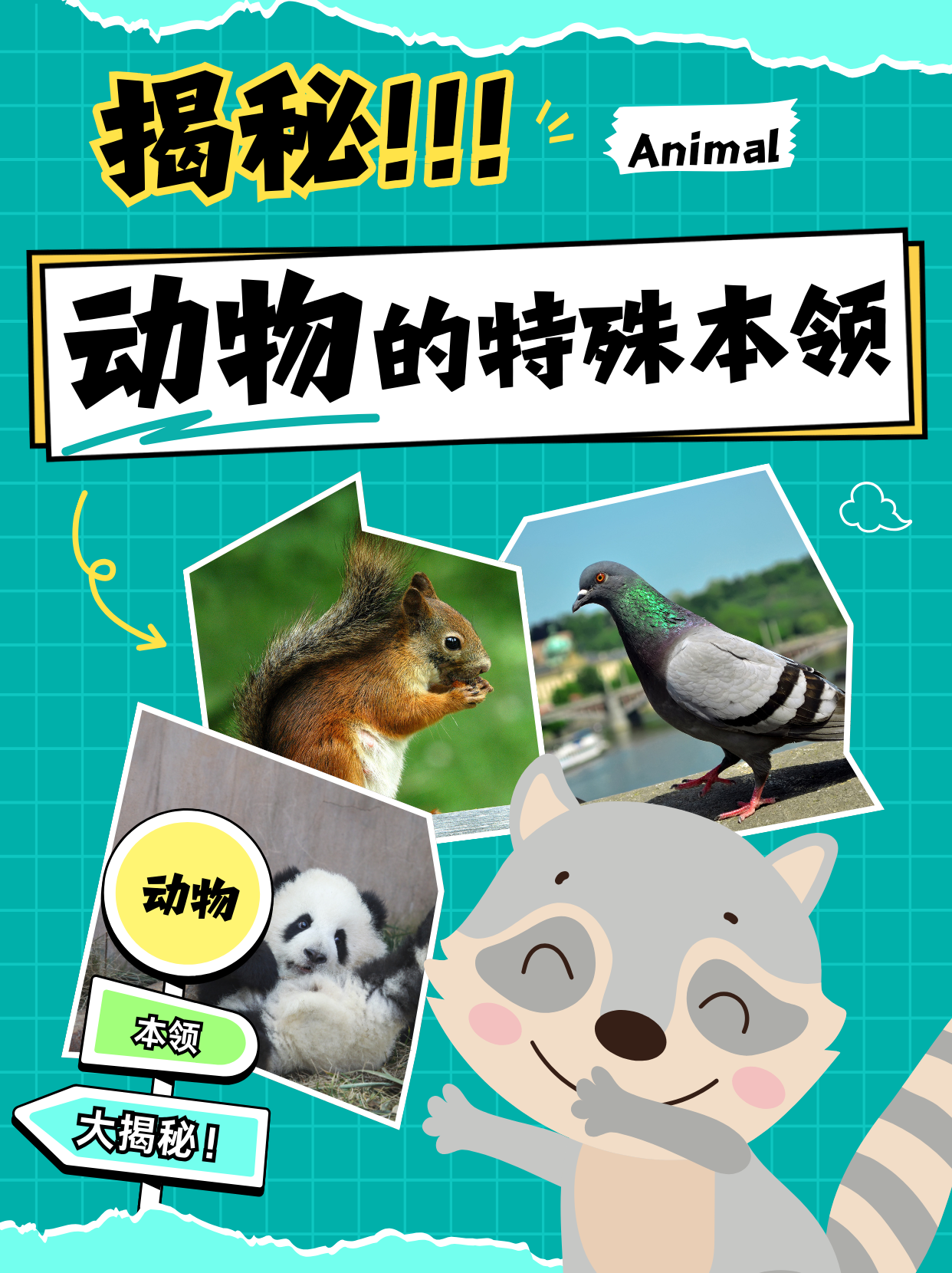 神奇动物的特殊本领大揭秘