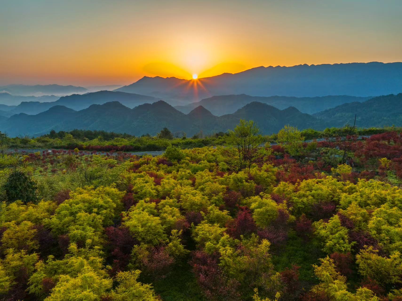 包鸾石里红枫康养避暑,一处既能避暑又能康养的旅游胜地