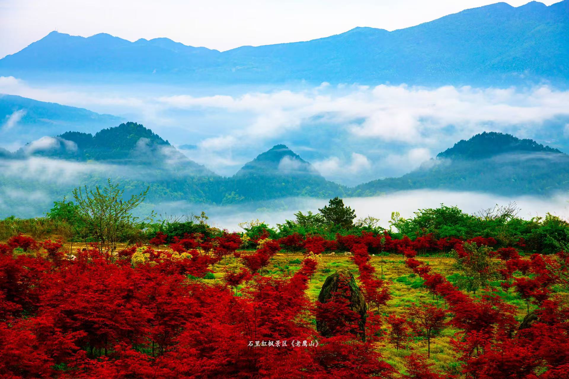 包鸾石里红枫康养避暑,一处既能避暑又能康养的旅游胜地