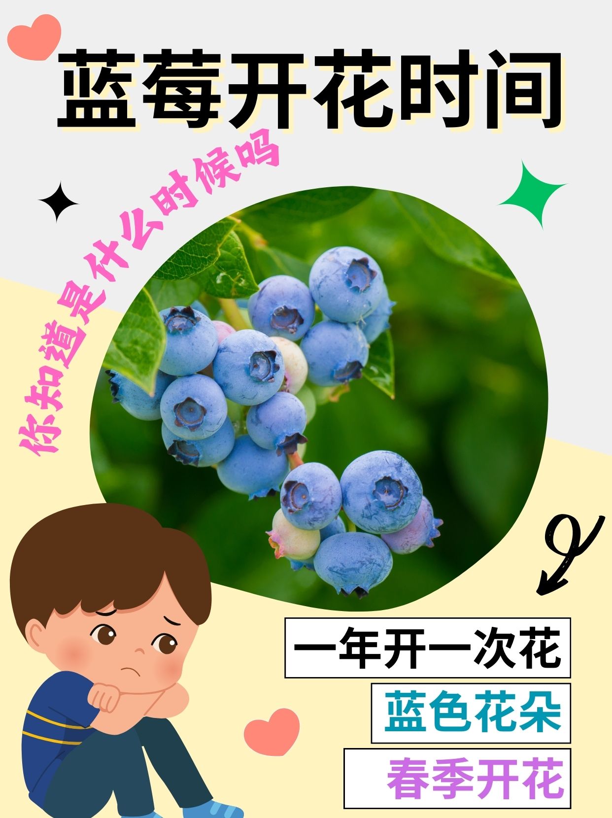 想知道蓝莓几月份开花?看这里