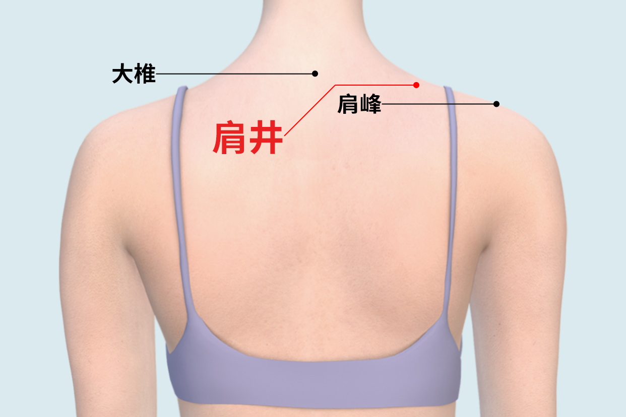 肩井穴疏通经络气血,对肩颈酸痛,头痛,乳腺不适等有效