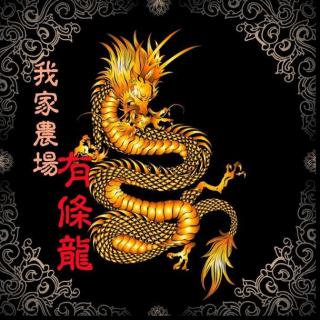 我家农场有条龙:一部穷小子逆袭的玄幻小说