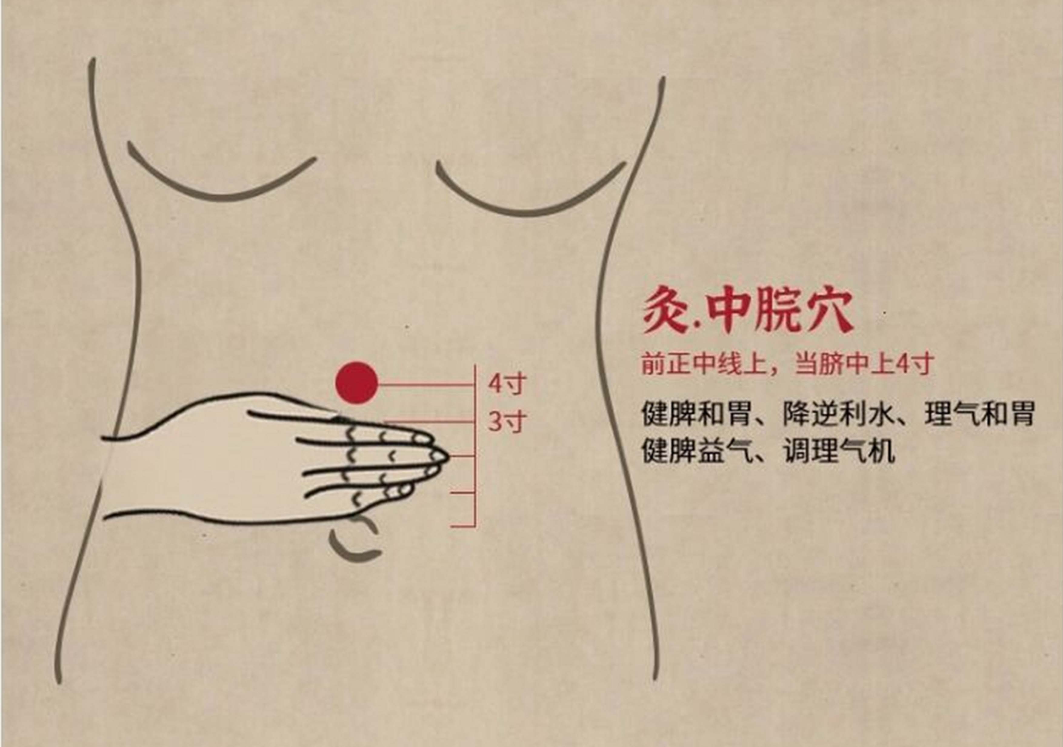 脾虚艾灸哪里效果最好图片