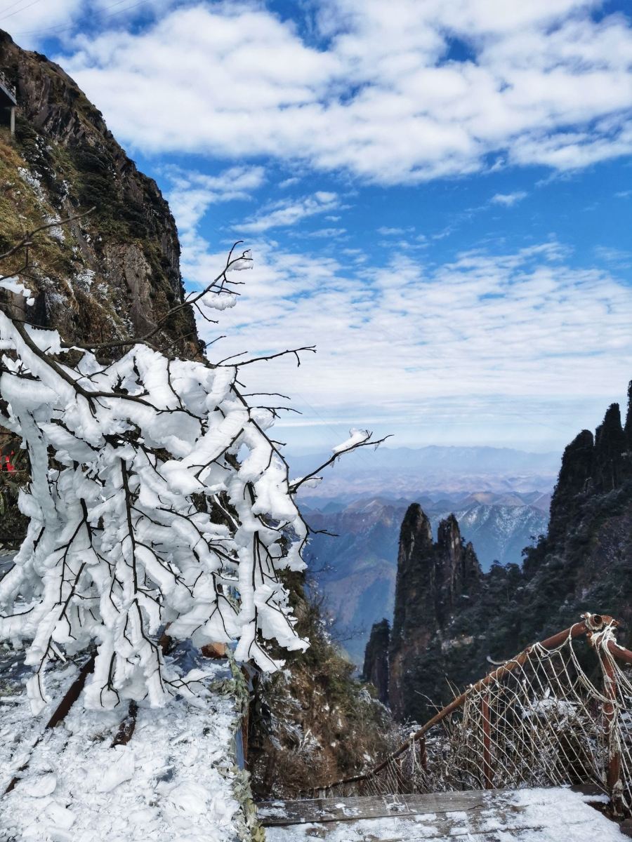 广州莽山五指峰景区图片