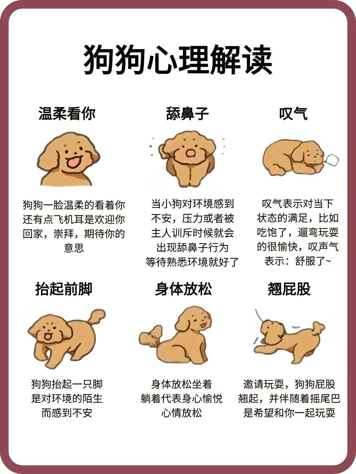 狗狗是什么暗语=网络用词狗狗是啥意思