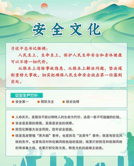 文化安全属于政治安全