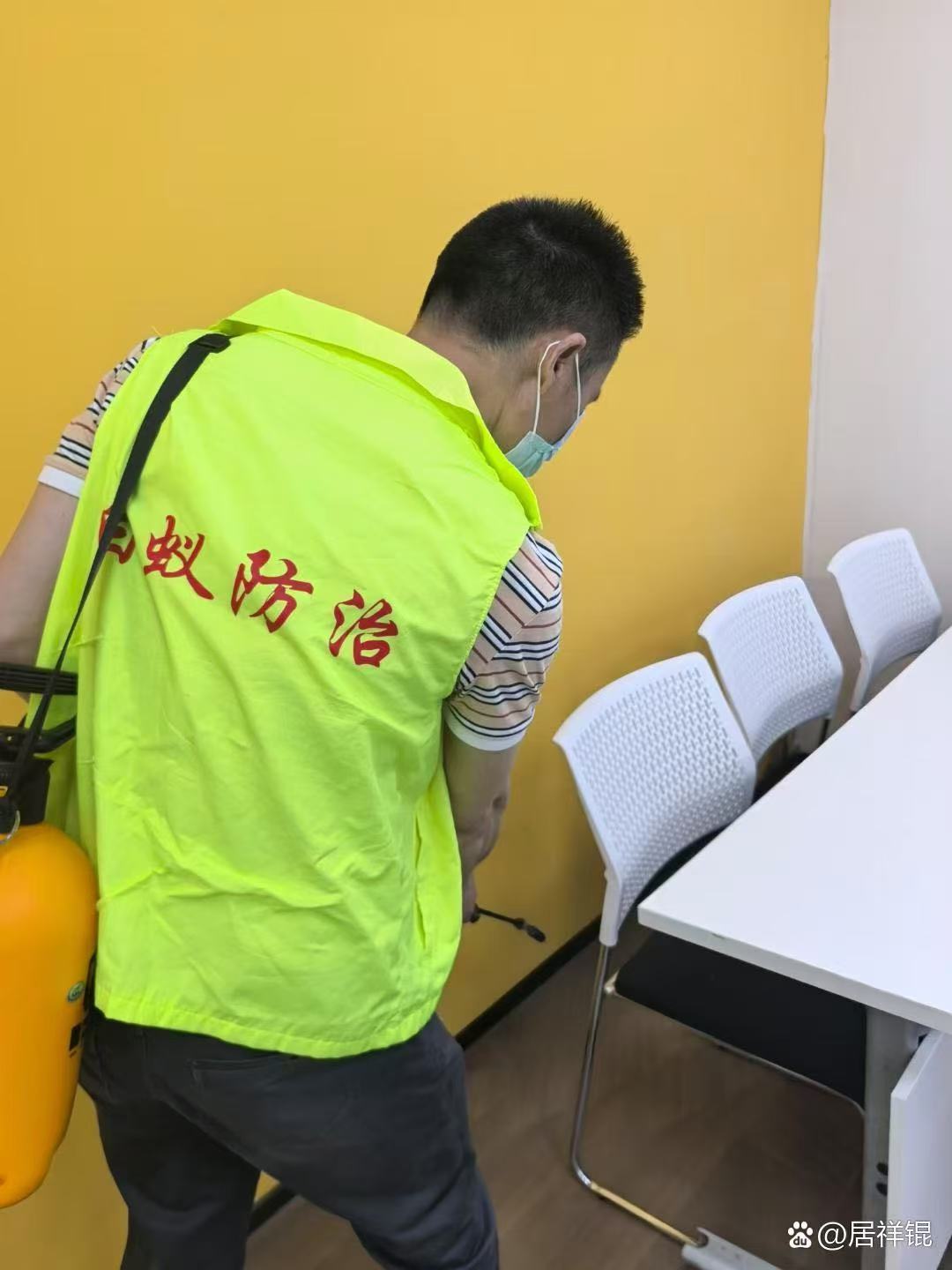 24小时昆山市除白蚁选专业防治电话在此