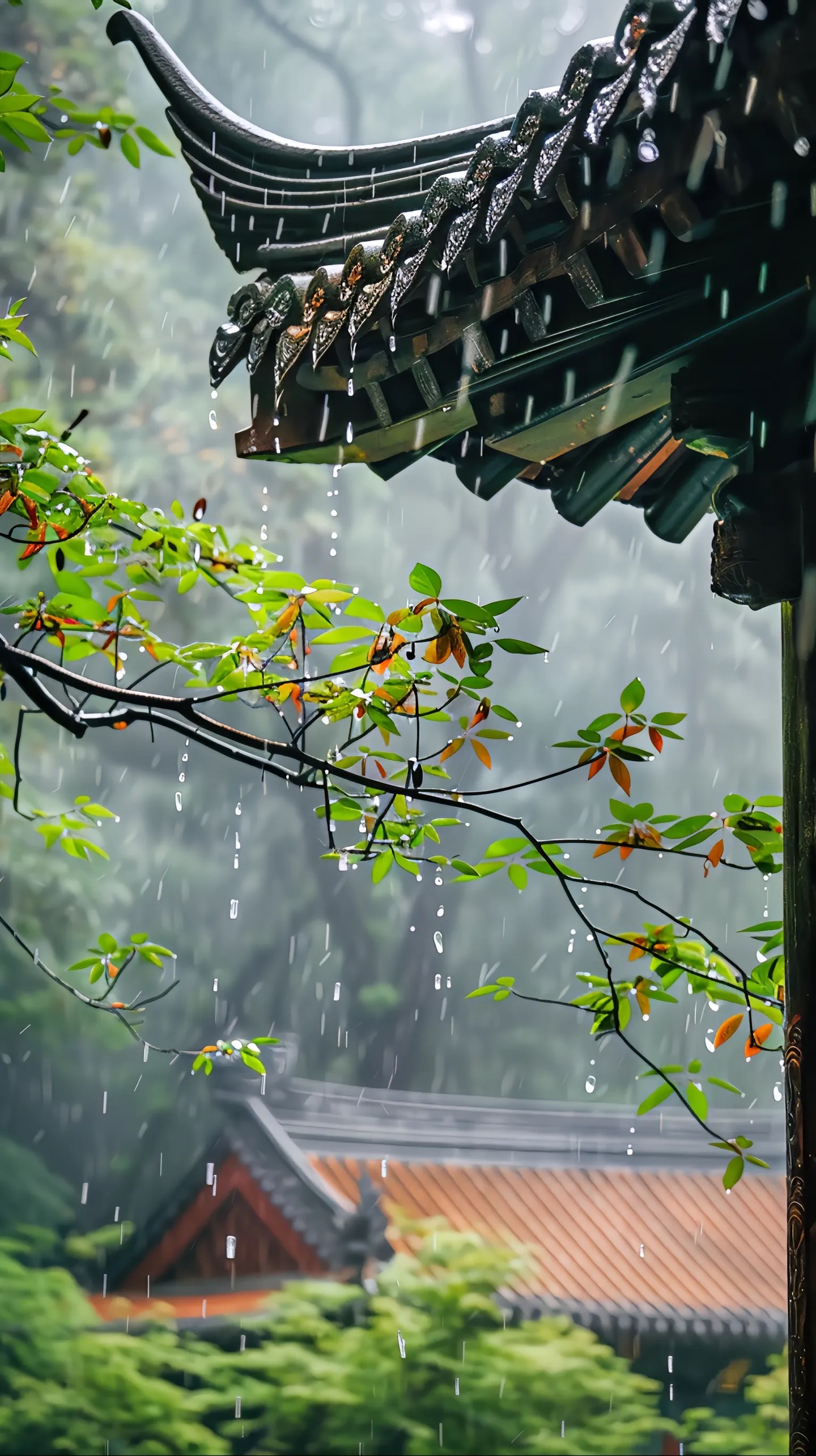 蒙蒙细雨的图片真实的图片