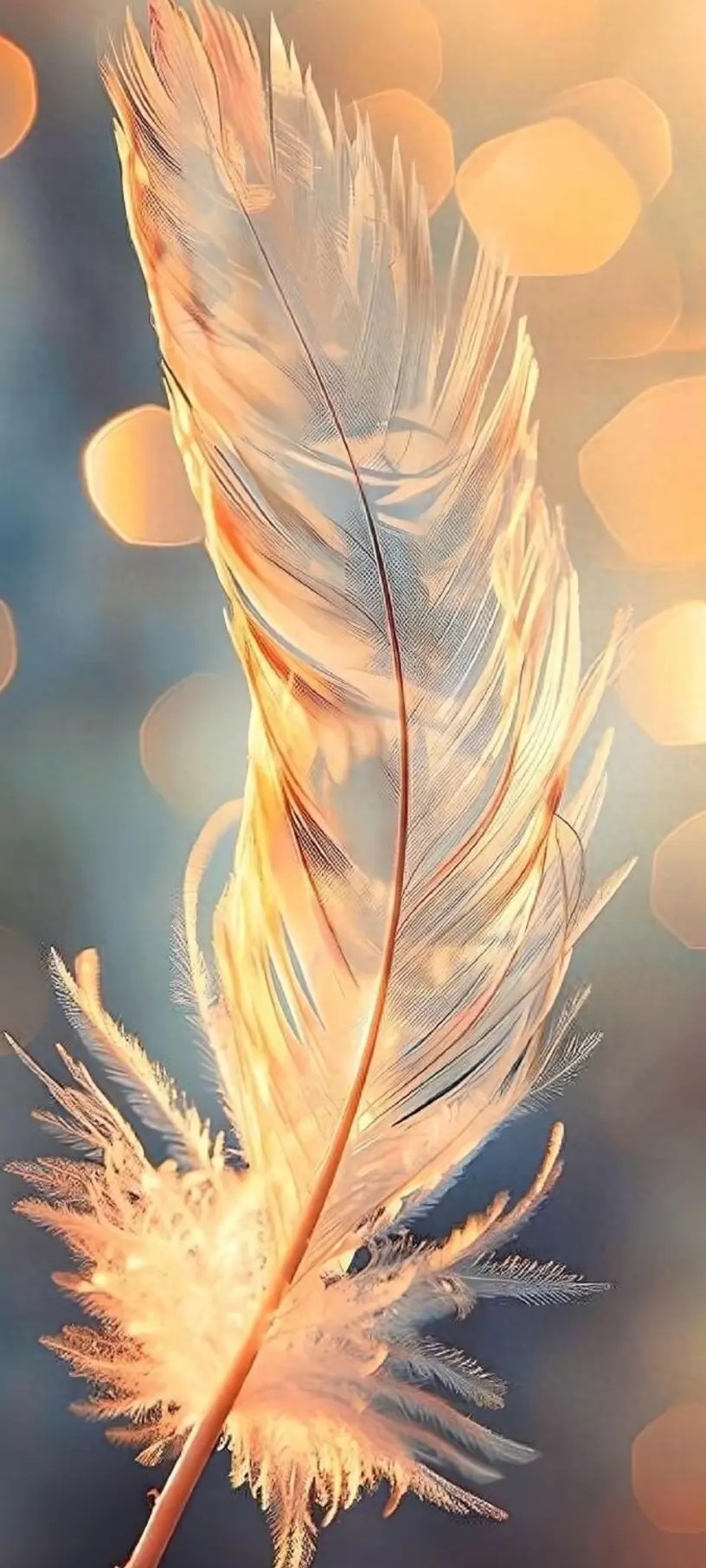 轻奢羽毛,魅力炫彩